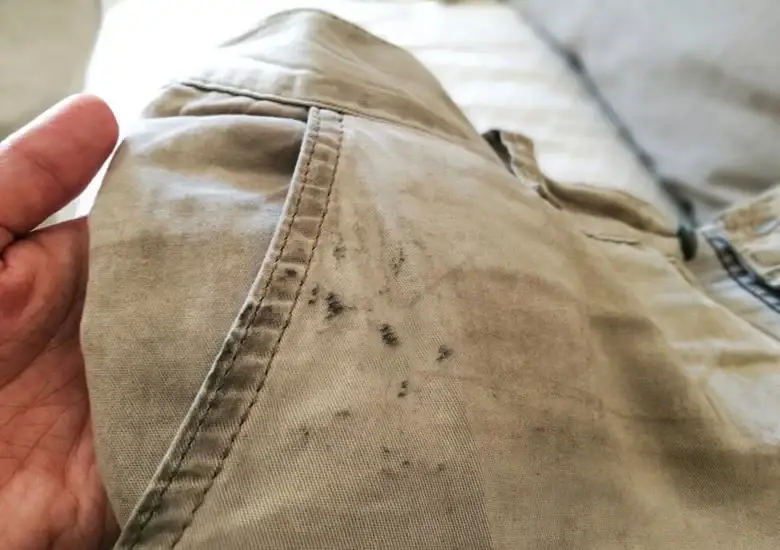 How To Remove Any Stain From Jeans